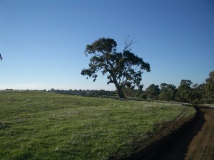 imgp4525