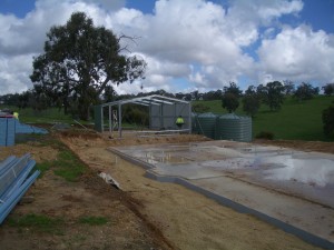 The Shed Begins