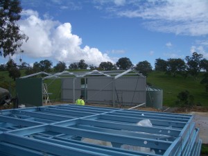 The Shed Continues